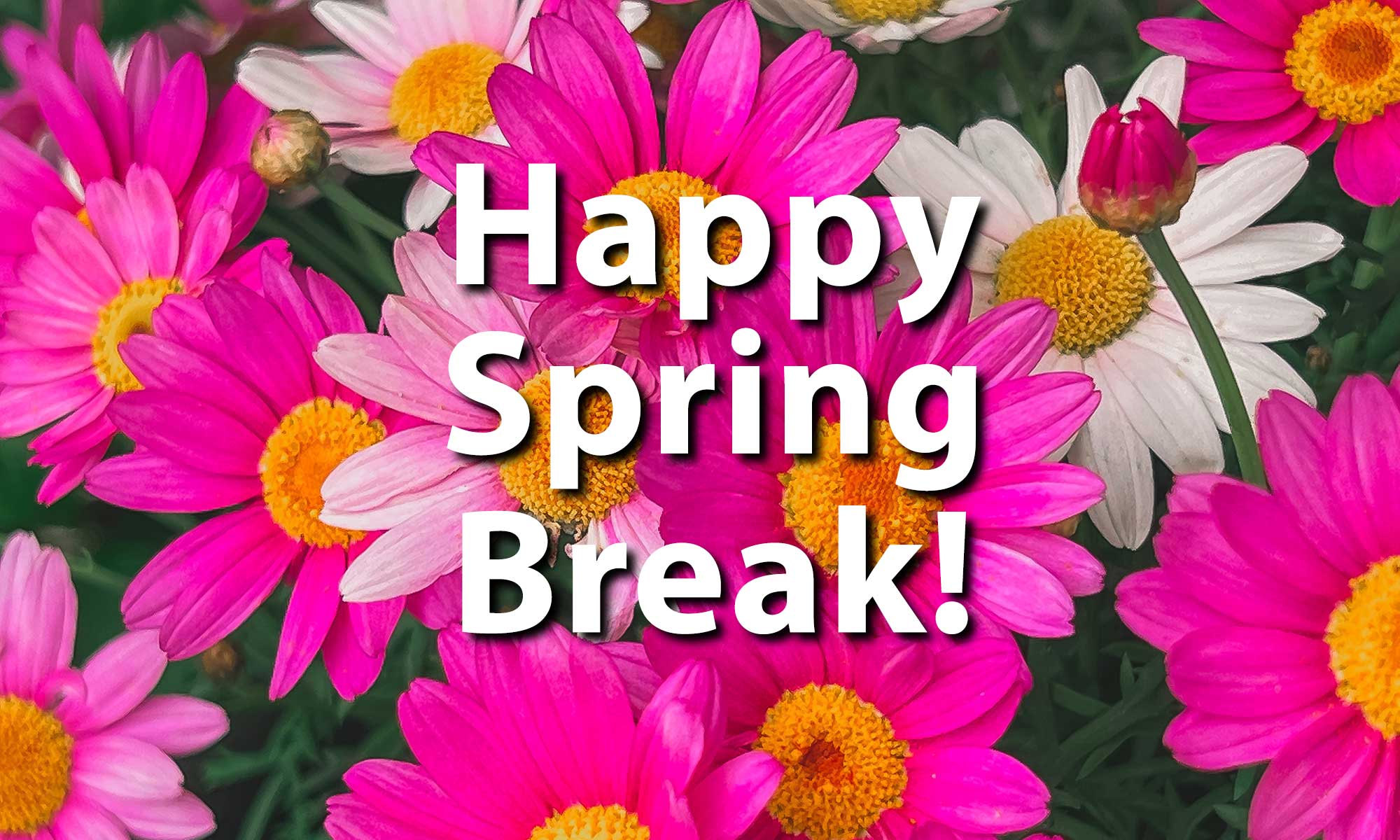 Happy Spring Break Popup